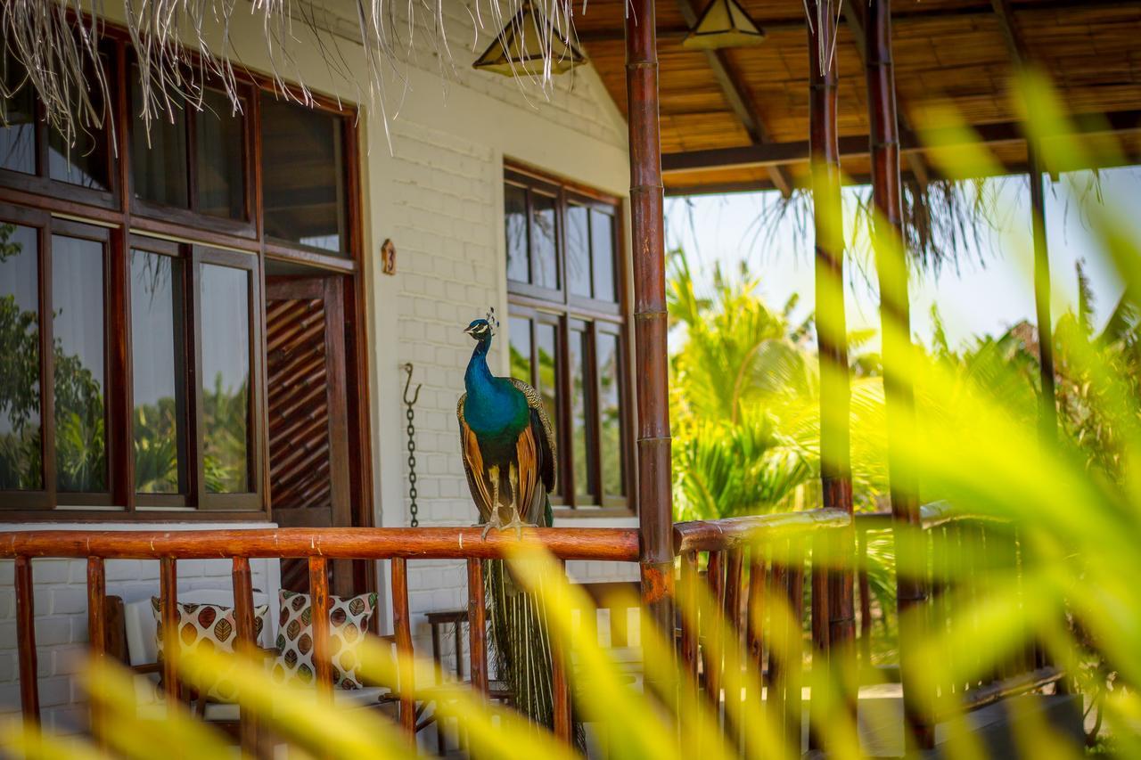 La Choza Bungalows Tambo Grande Ngoại thất bức ảnh